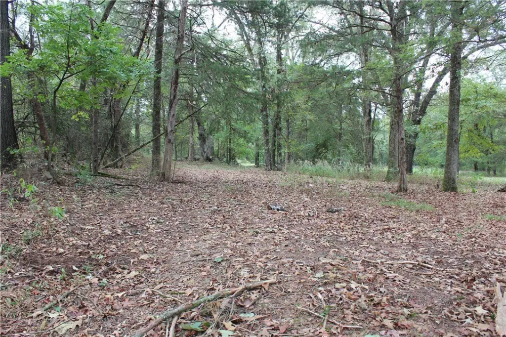Picture 20
