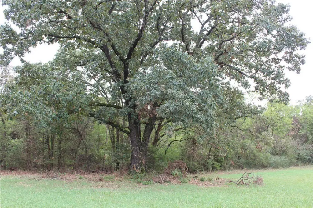Picture 18