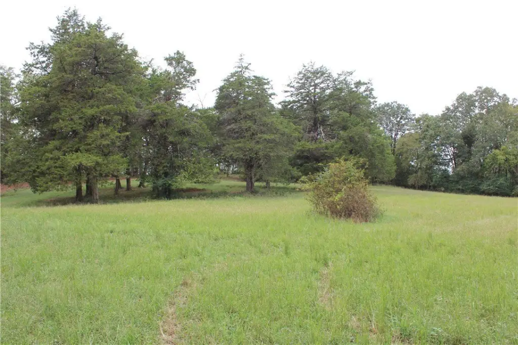 Picture 31