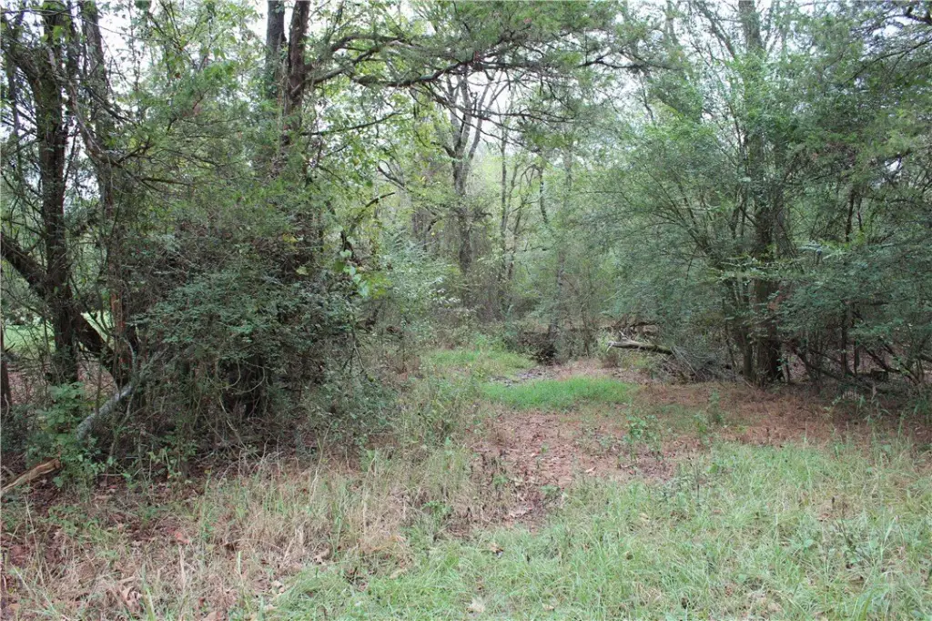 Picture 27
