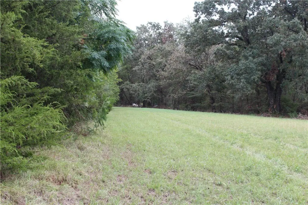 Picture 17
