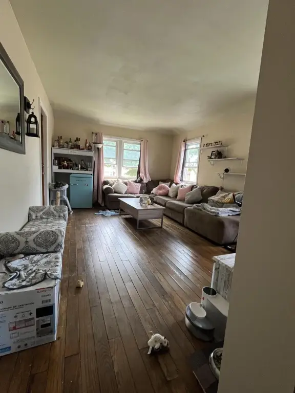 Picture 17