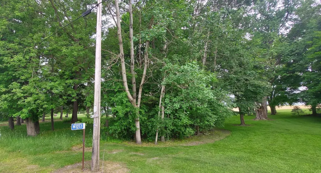 Picture 2