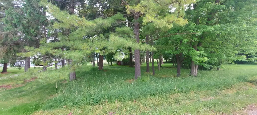 Picture 6