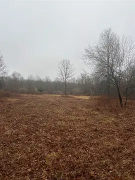 Blooming Grove Land with Options