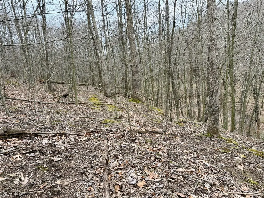 Picture 39