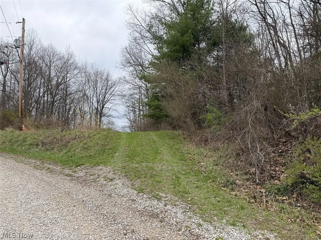 Picture 19