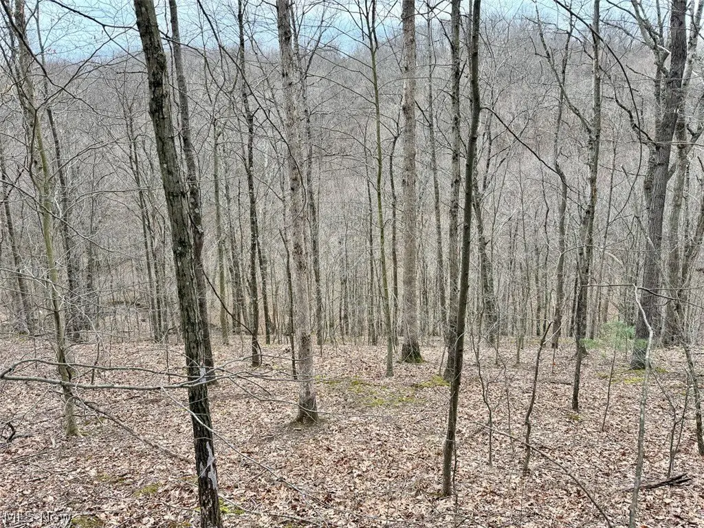 Picture 5