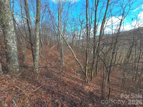 Maggie Valley Land with Views