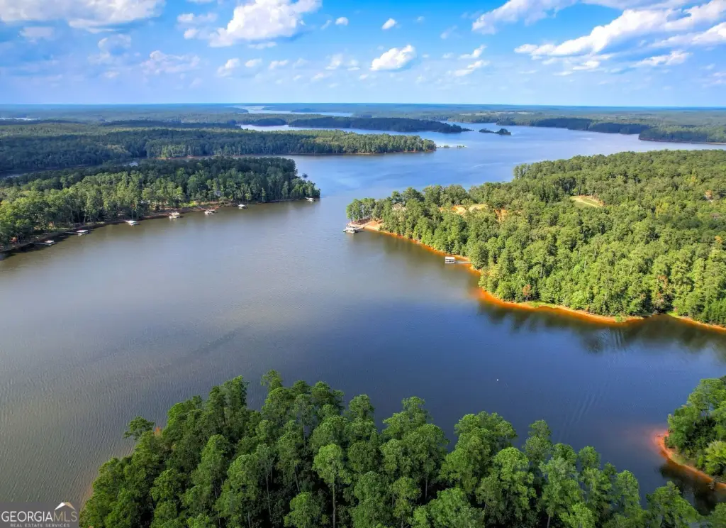 Picture 4