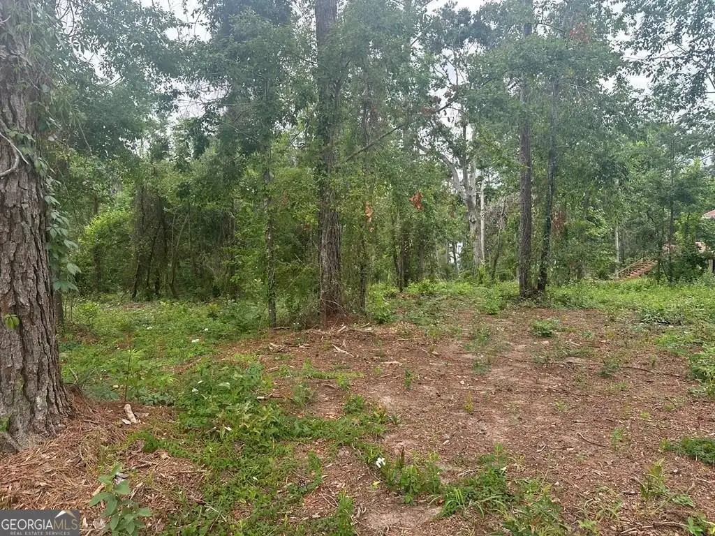 Picture 6