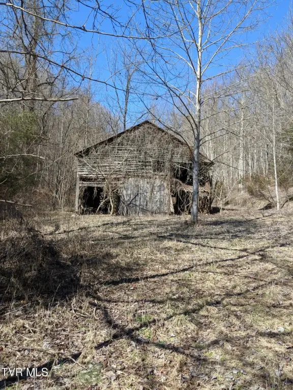 Picture 15