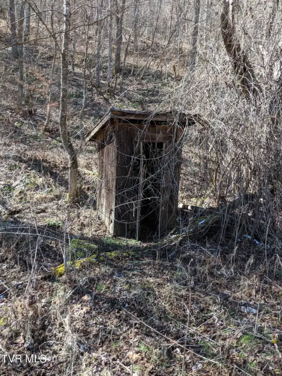Picture 21