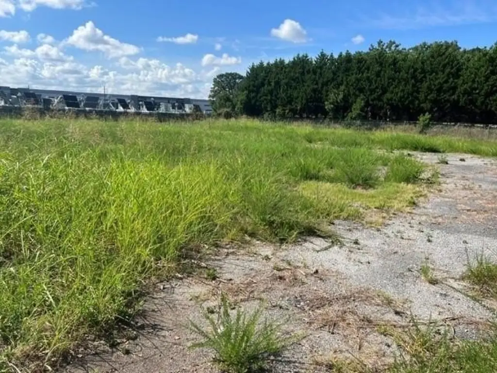 Picture 4