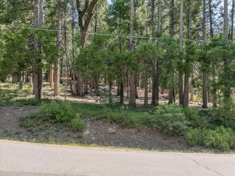 Half-Acre Lot in Big Trees