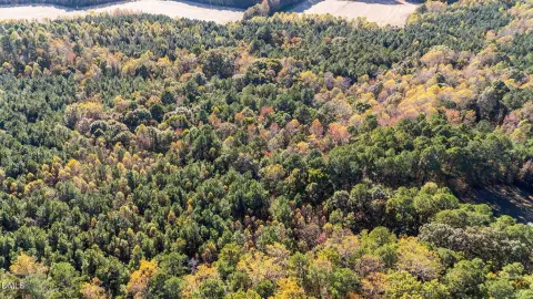 Wooded Lot in Quiet Neighborhood
