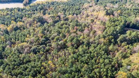 Wooded Lot in Quiet Neighborhood