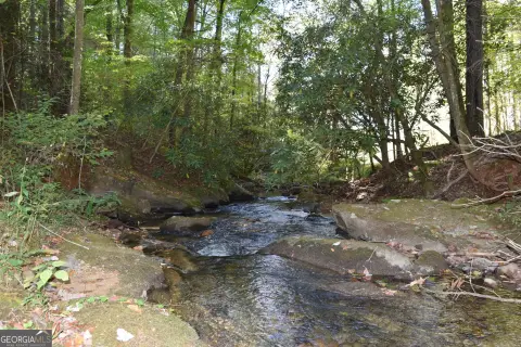 32.98 Acres in Ellijay, GA
