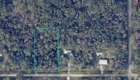 Flagler Estates 1.14-Acre Lot