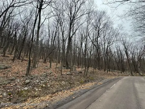 Hazle Twp Land with Ski Views
