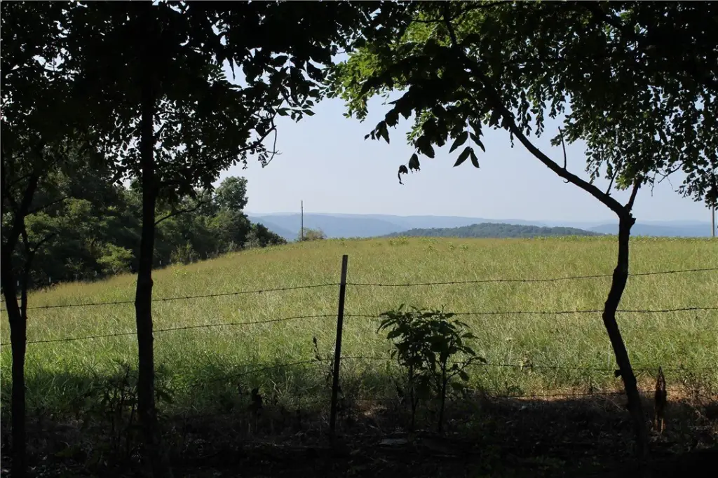 Picture 18