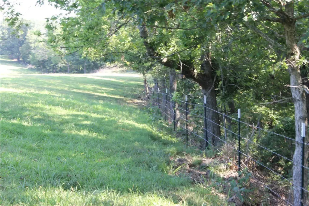 Picture 25