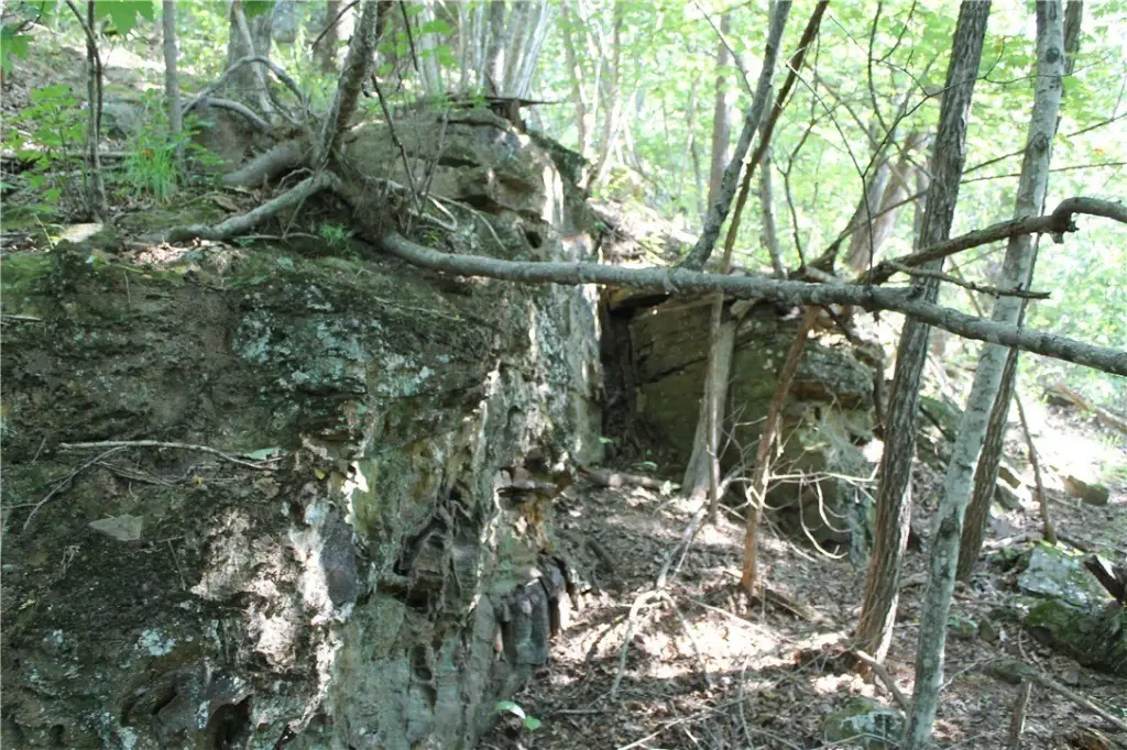 Picture 28
