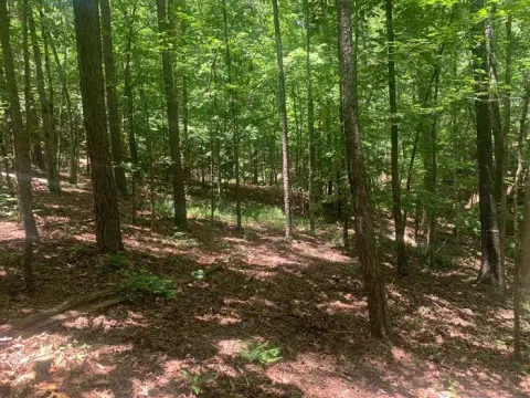 Wooded 3-Acre Land Parcel