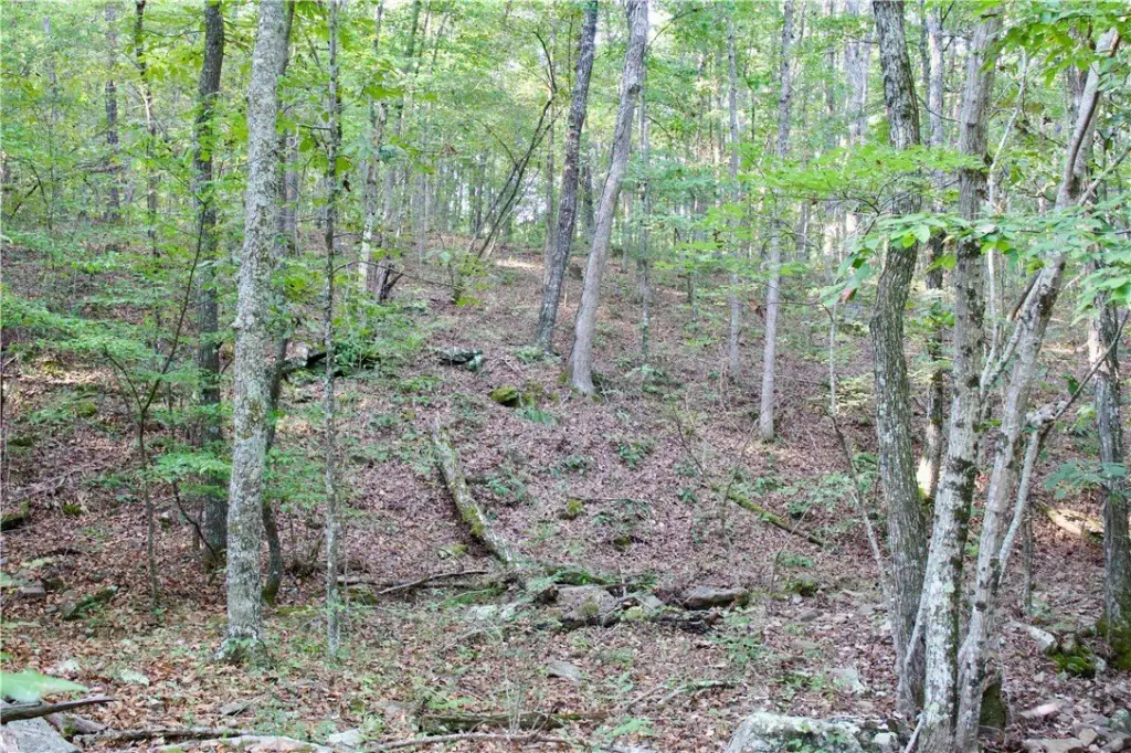 Picture 43