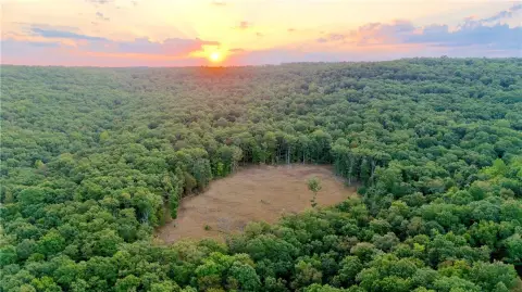Hunting Land with Cabin