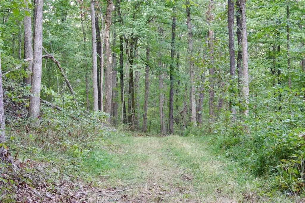 Picture 37