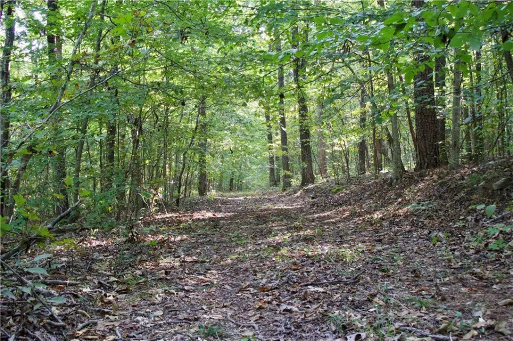 Picture 48