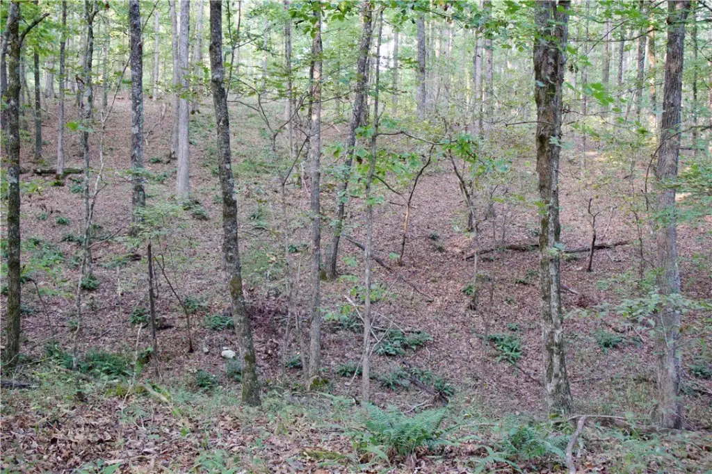 Picture 28