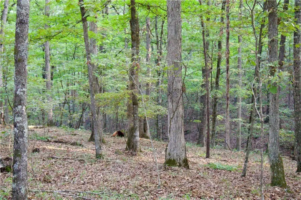 Picture 31