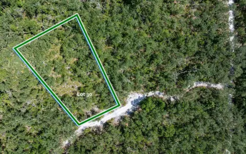 Residential Lot in Live Oak