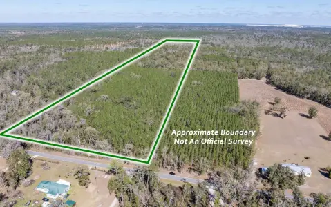 40 Acres Wooded Land, Suwannee County