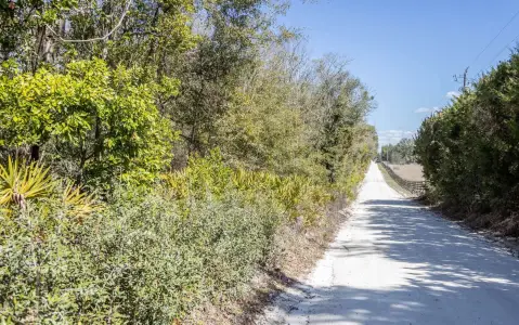 Residential Lots in Suwannee Heights