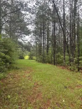 21 Acres of Rural Land