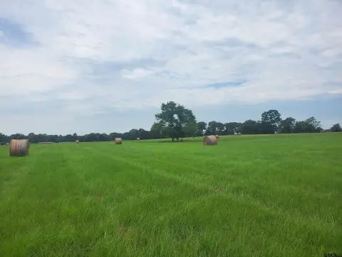 Frankston, Texas Rural Acreage