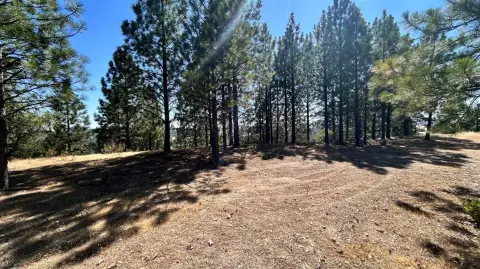 Mountain Ranch Acreage with Tiny Home