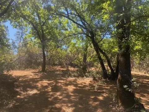 Murphys Residential Acreage Opportunity