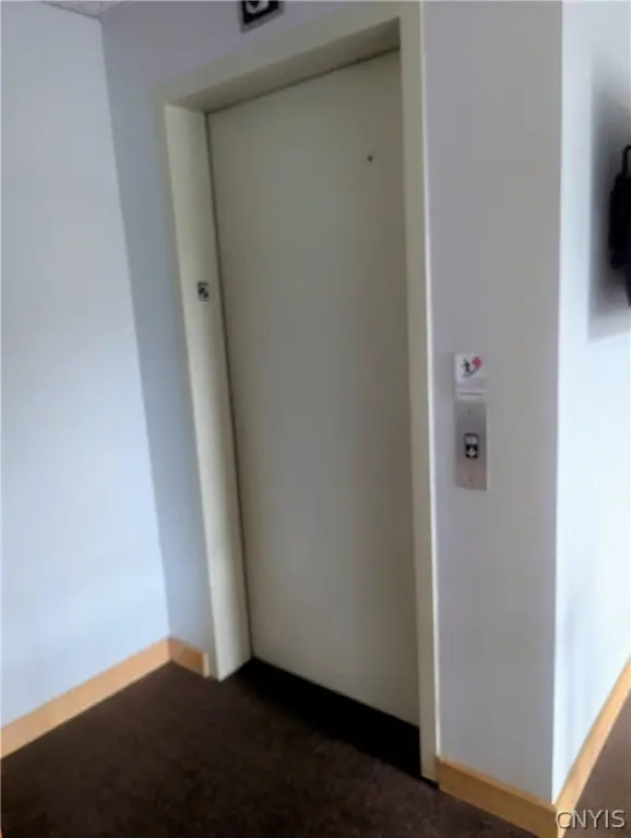 Picture 24