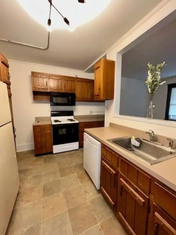 Picture 25