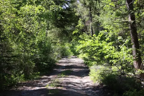 20 Acres Wooded Land, Kalispell