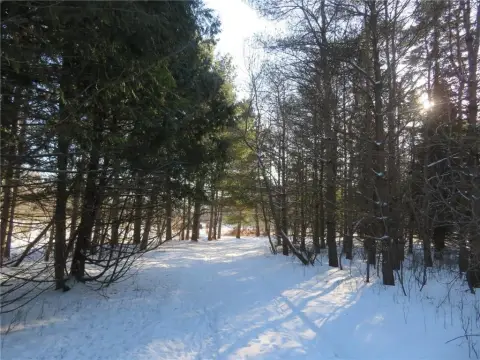Wooded Lot Near Area Lakes