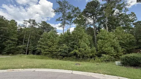 Residential Lot in Golf Community