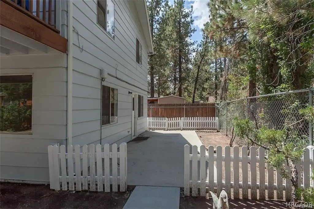 Picture 5