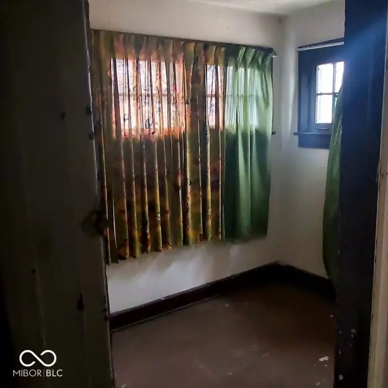Picture 7
