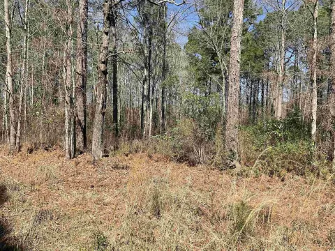 Residential Lot Near Kingstree