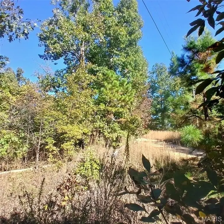 Picture 11
